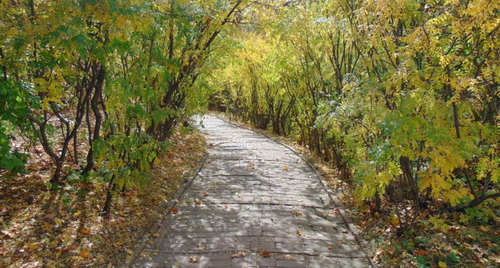 Конкурс узкая тропинка (мостик)